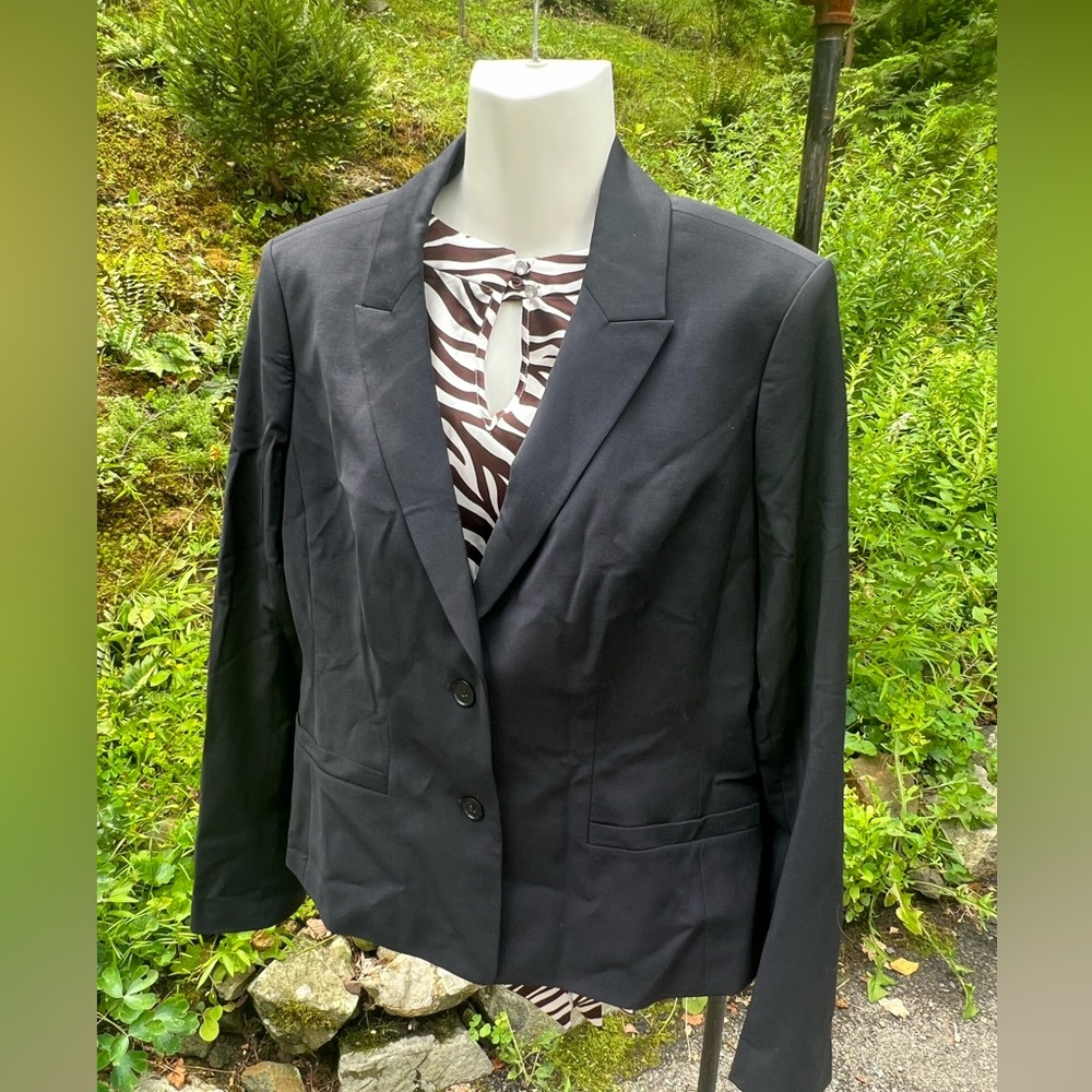 Suit Jacket (Ann Taylor) and Top (Vertigo)